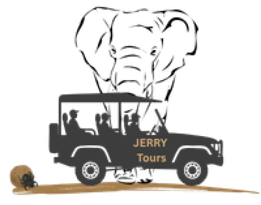 Jerry Tours | Addo Safari | Tours & Transfers